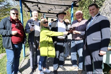 Rez kamniške trte, ki je potomka najstarejše vinske trte (23)